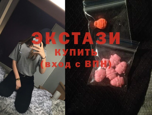 стаф Вязьма